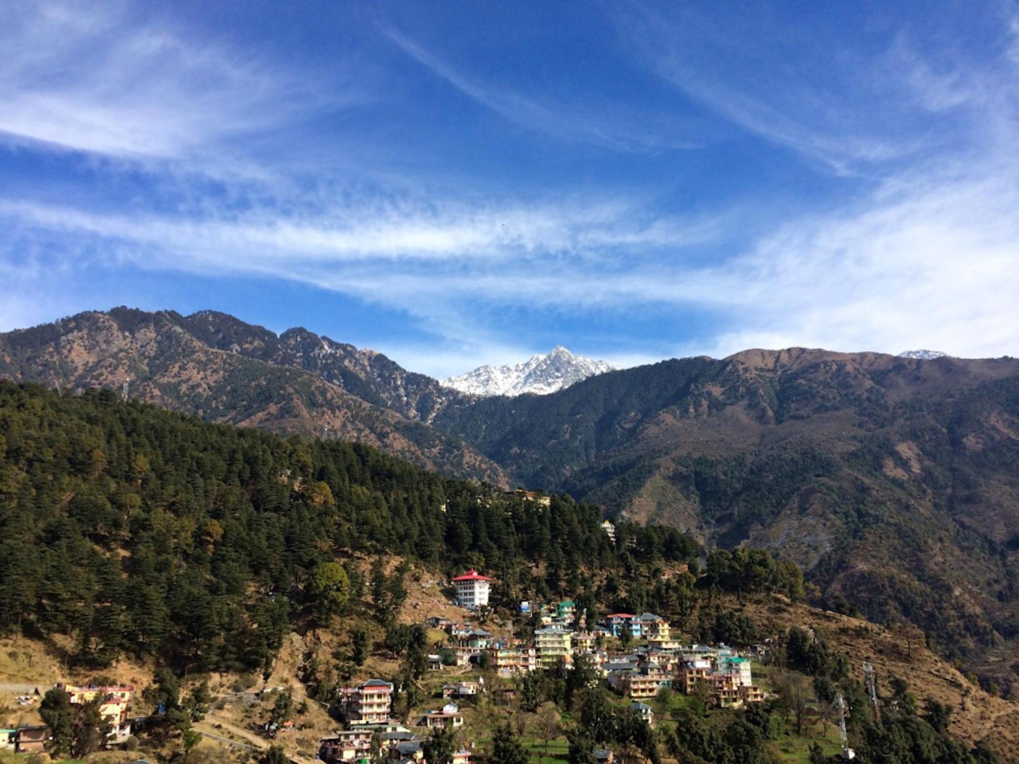 La Riqueza Koala Inn # 5 Mins From Mall Road # Mountain View Rooms # Private Parking #Family Hotel #Traveller'S Choice Hotel McLeod Ganj Exterior foto